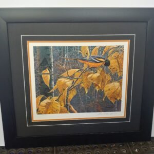 "cottonwood gold baltimore oriole" by john seerey lester