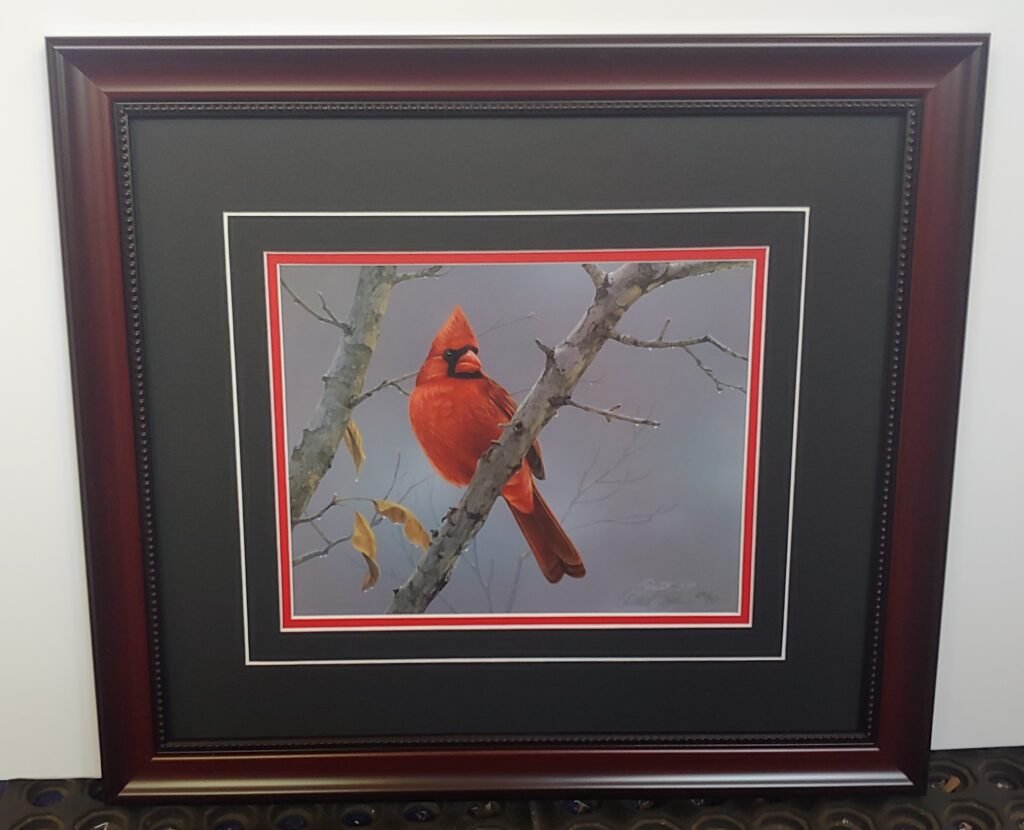 "hot shot cardinal" by daniel smith