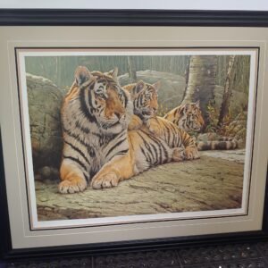 siberian summer by guy cohleach