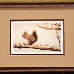 "frequent visitor" by surtes