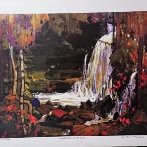 thomson woodland waterfall