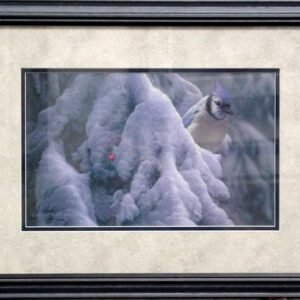 "highly enlightened position" by derek wicks